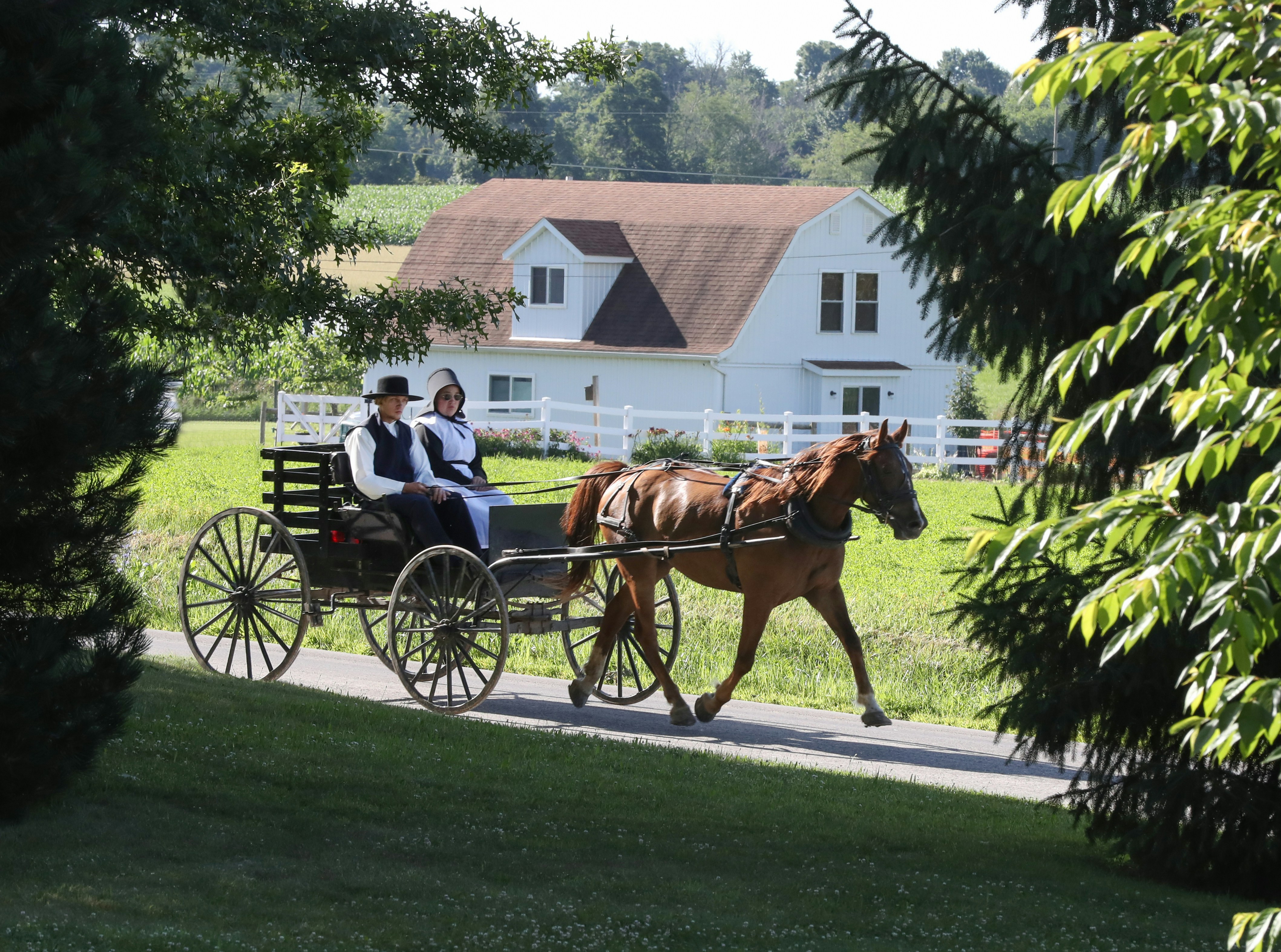 amish