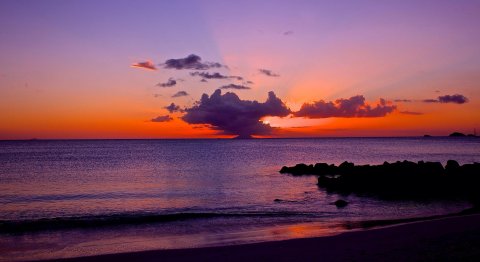 barbuda mare caraibi