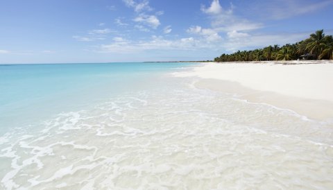 antigua mare caraibi