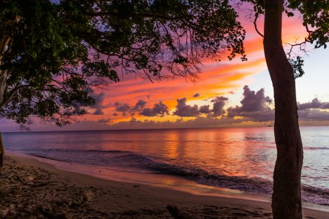 mare barbados