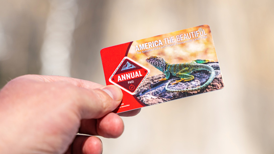 tessera parchi nazionali usa