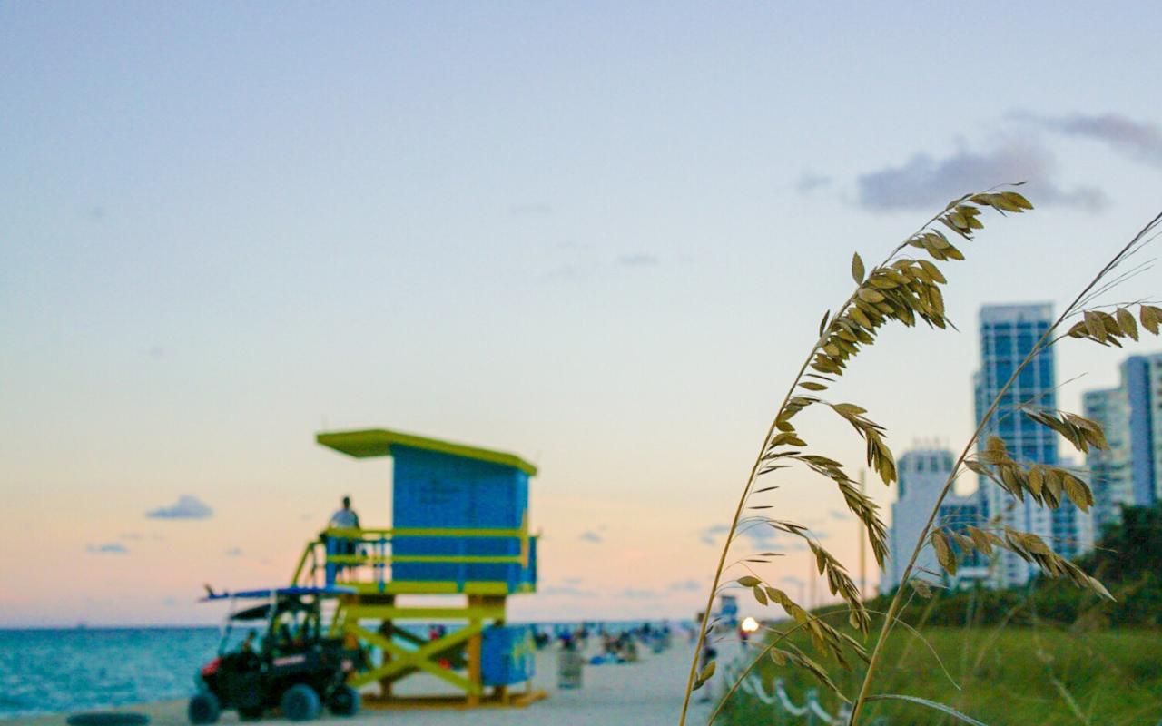 viaggio in florida in inverno