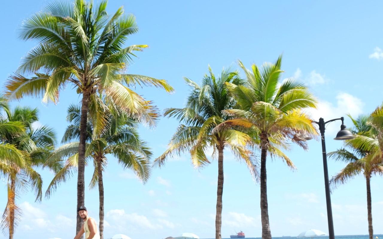 Viaggio a Miami e in Florida