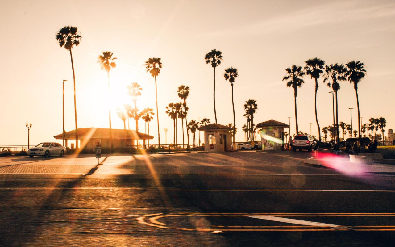 strada costiera di los angeles con palme al tramonto (california, stati uniti)