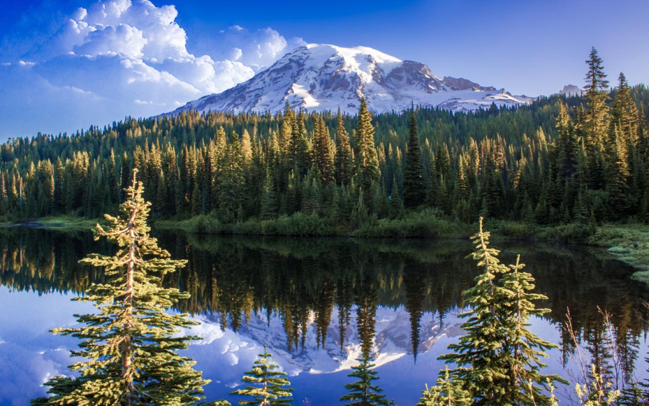 mount rainier si specchia nel lago (washington, stati uniti)