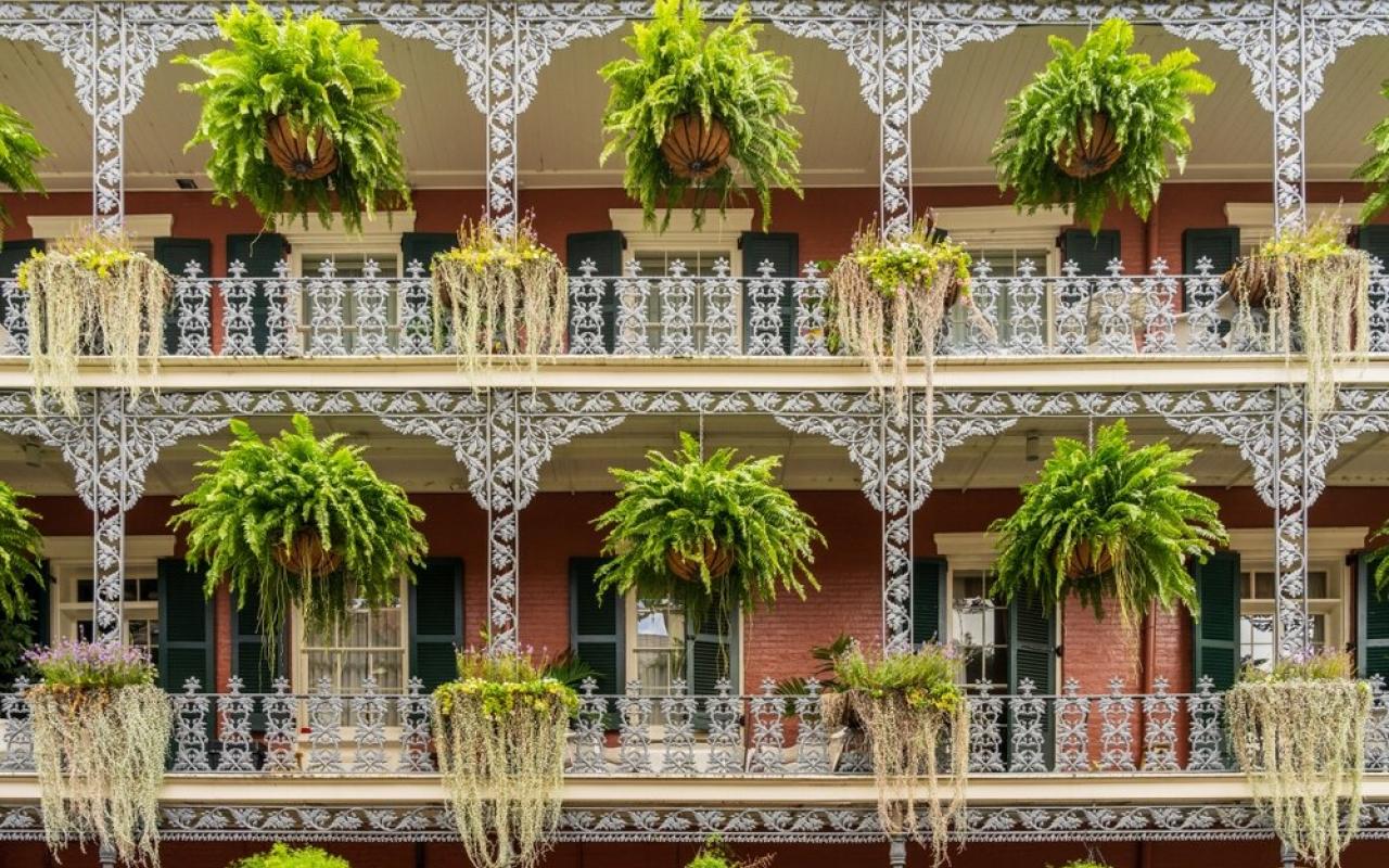 quartiere francese a new orleans caratterizzata da balconi con piante (louisiana, stati uniti)