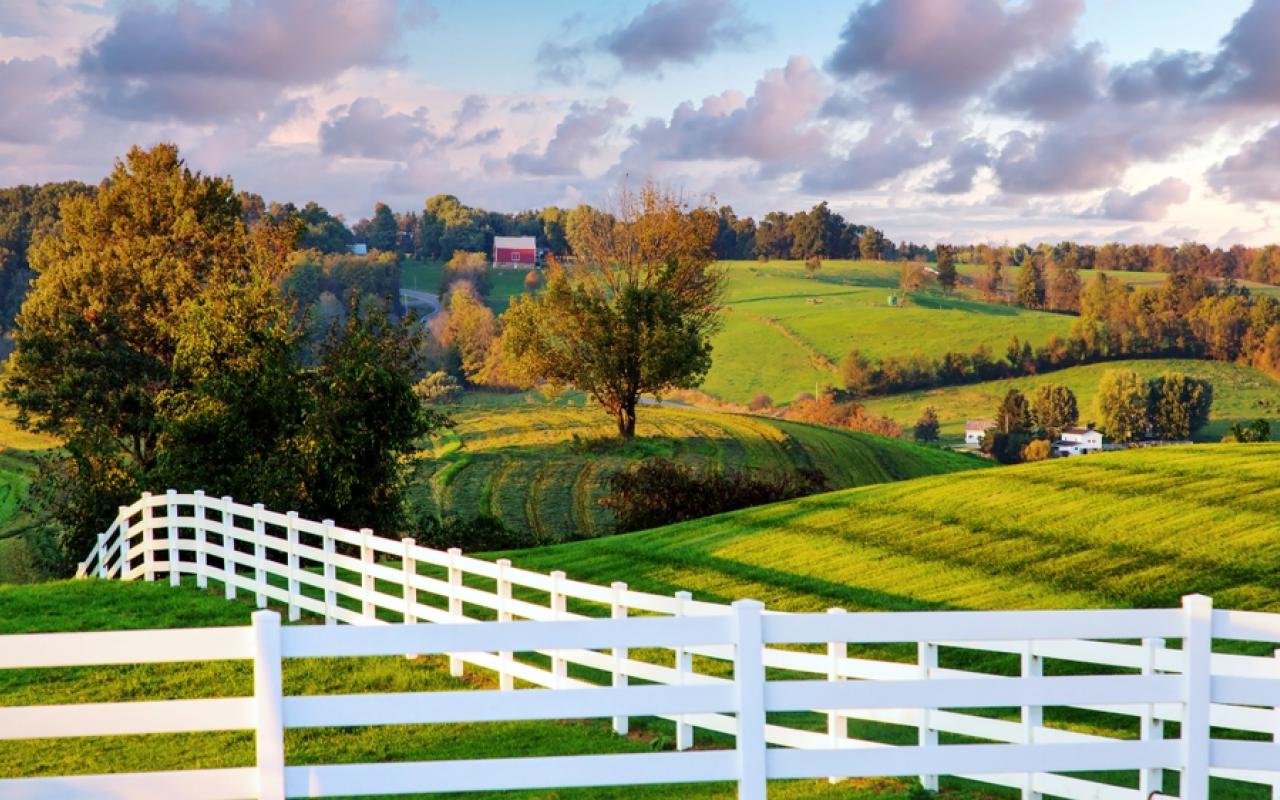 prati verdi, alberi e staccionate bianche (ohio, stati uniti)