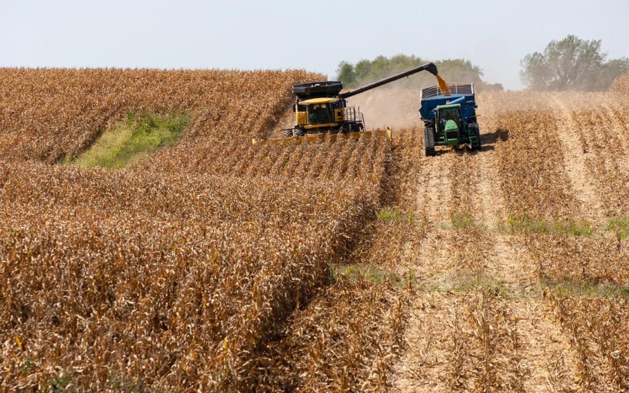 mietitrebbia al lavoro tra i campi di grano (iowa, stati uniti)