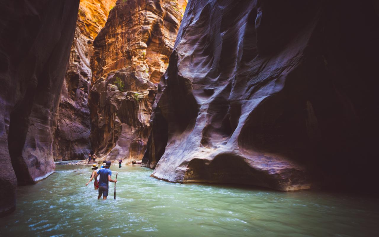 escursionisti al the narrows nello zion national park (utah, stati uniti)