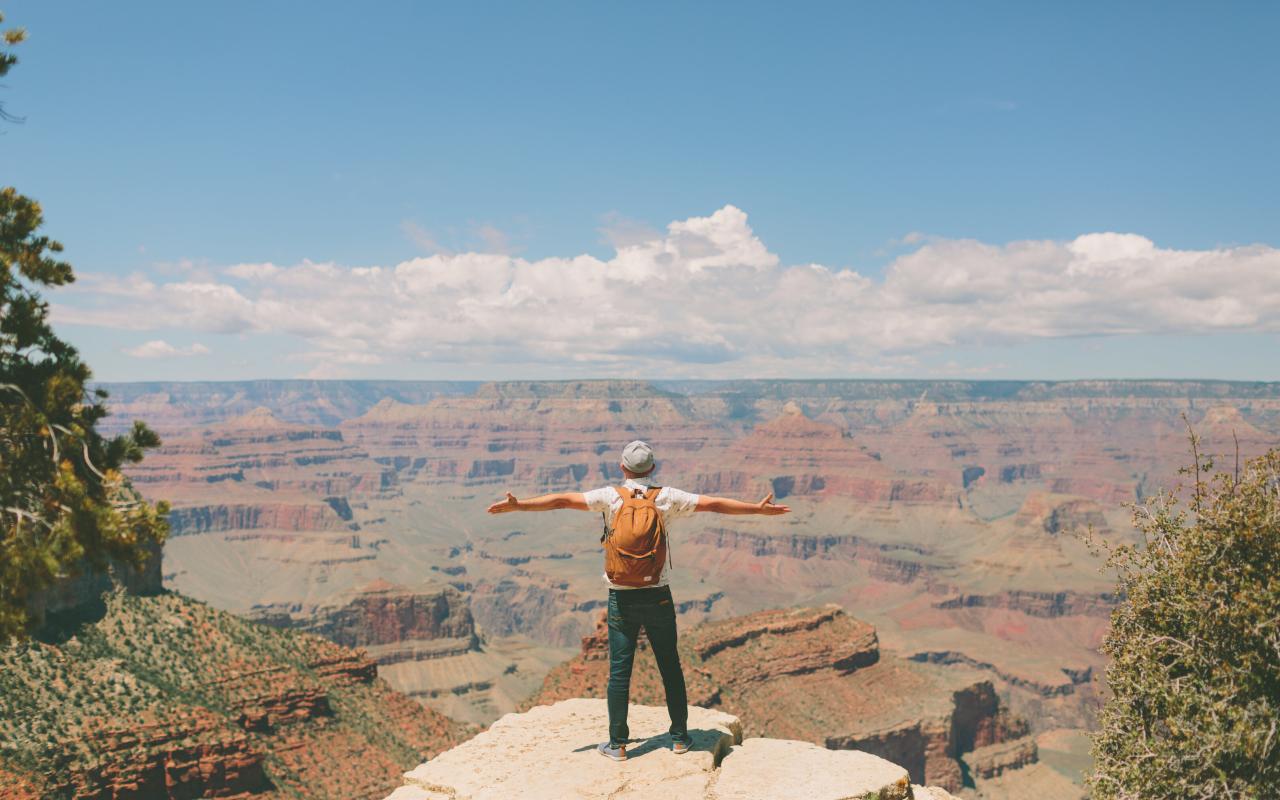 turista davanti al panorama del grand canyon national park (arizona, stati uniti)