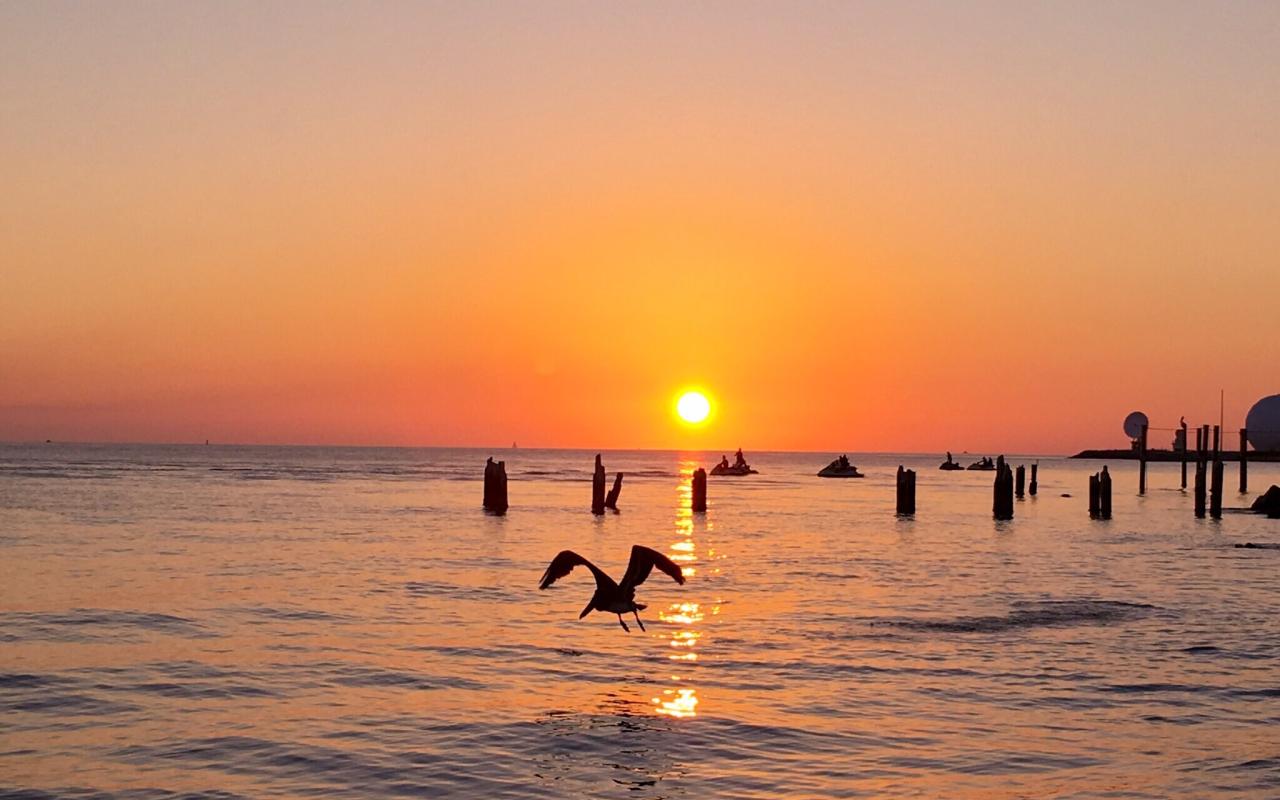 viaggio alle keys, florida