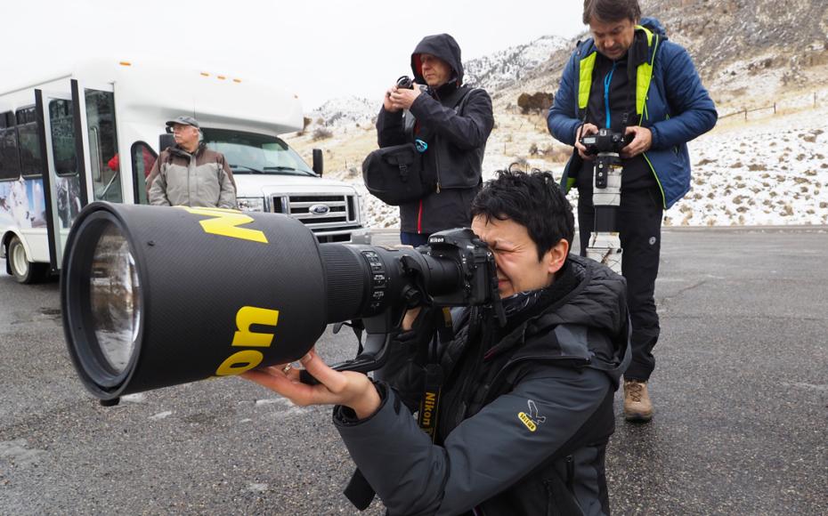 tour fotografico invernale a Yellowstone