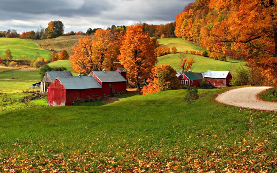 tour new york e new england