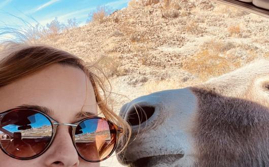 2024 - dipendenti in viaggio, Francesca on the road a Oatman in Arizona