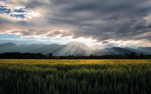 panorama delle praterie del montana con cielo nuvoloso (montana, stati uniti)