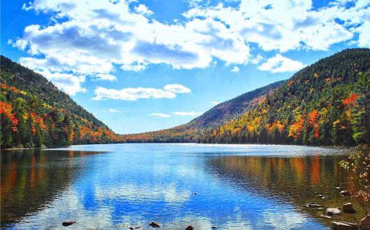 foresta affacciata su un lago dell'acadia national park (maine, stati uniti)