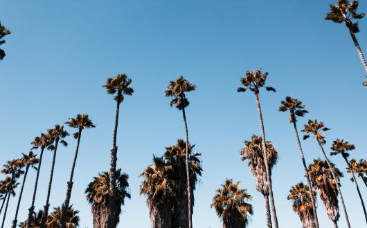 tour san diego california