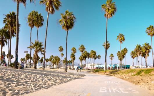 passeggiata lungo venice beach (california, stati uniti)