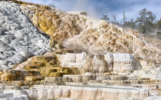 mammoth hot springs allo yellowstone national park (wyoming, stati uniti)