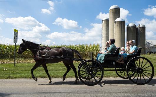 contee amish (pennsylvania, stati uniti)