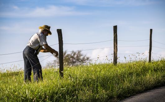 vita rurale comunità amish (pennsylvania, stati uniti)