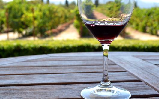 degustazione vino alla napa valley s(california, stati uniti)