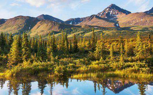 monte denali in alaska (alaska, stati uniti)