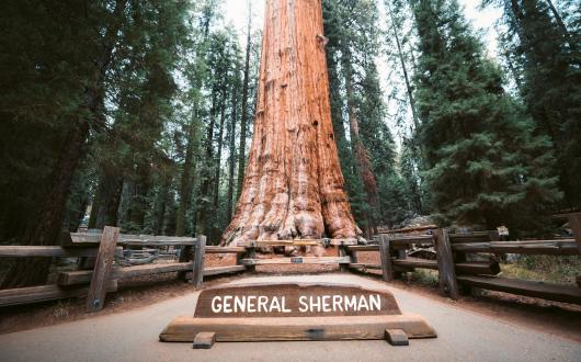 sequoia national park (california, stati uniti)