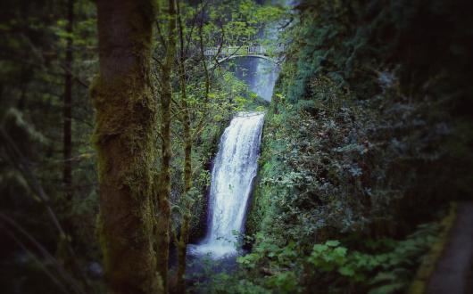 cascata puù alta dello stato dell'oregon (oregon, stati uniti)