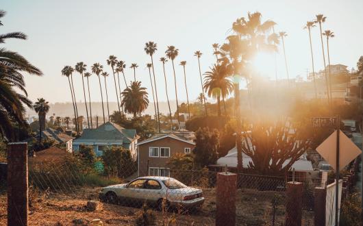 tramonto che riflette sulle palme a los angeles (california, stati uniti)