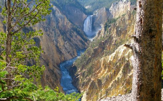 cascate grand canyon dello yellowstone (wyoming, stati uniti)