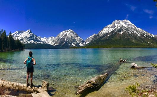 uomo osserva lago al  grand teton (wyoming, stati uniti)