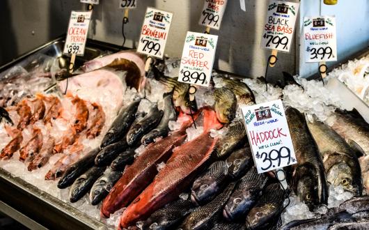  banco del pesce da harbor fish market a portland (oregon, stati uniti)