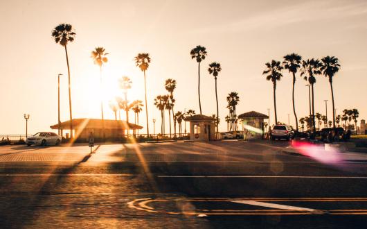 strada costiera di los angeles con palme al tramonto (california, stati uniti)