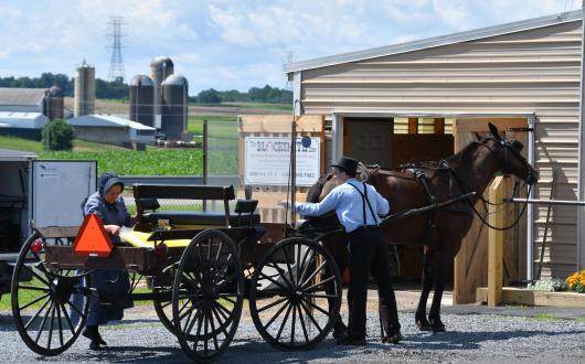 coppia di amish con il loro carro e cavallo (indiana, stati uniti)