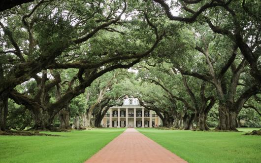 oak alley plantation in louisiana (louisiana, stati uniti)