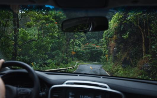 interno di auto lungo una strada a maui (hawaii, stati uniti)