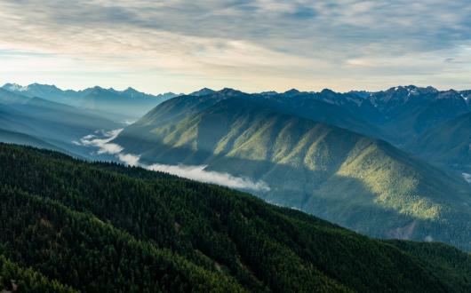 vista panoramica di hurricane ridge nell'olympic national park (washington, stati uniti)