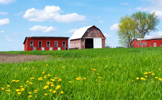tipica fattoria del midwest (illinois, stati uniti)