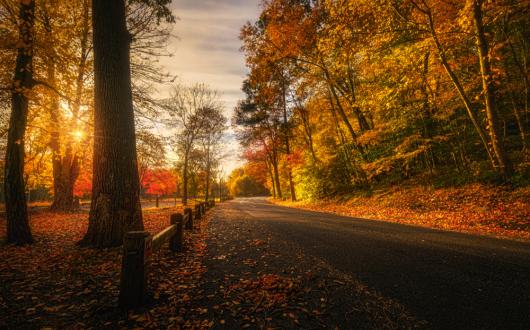 paesaggio del foliage autunnale in connecticut (connecticut, stati uniti)