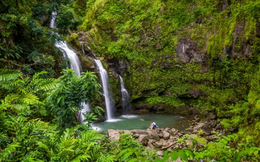 piccole cascate nelle foreste di maui (hawaii, stati uniti)