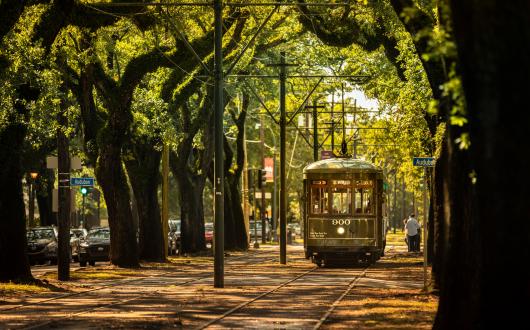 tram storico lungo viale alberato di new orleans (louisiana, stati uniti)
