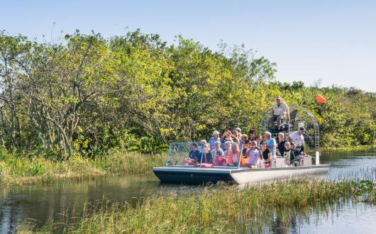 tour in airboat tra le paludi delle everglades (florida, stati uniti)