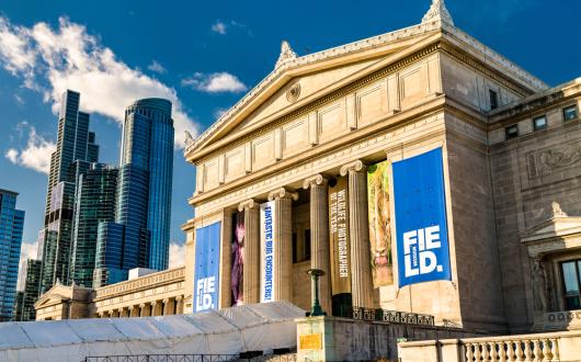 field museum of natural history a chicago (illinois, stati uniti)