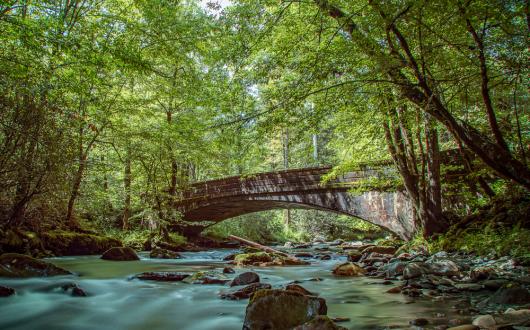 fiume con ponte di pietra in un bosco (north carolina, stati uniti)
