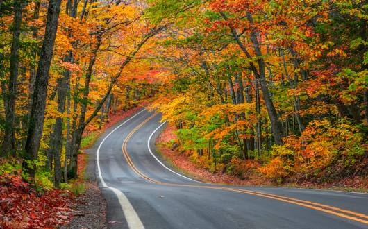 strada tra i boschi durante il foliage (michigan, stati uniti)