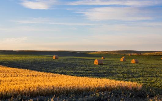 prateria e balle di fieno nel north dakota (north dakota, stati uniti)