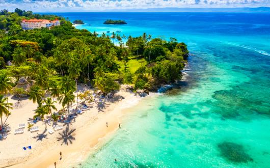 spiaggia con palme e mare cristallino (repubblica dominicana, caraibi)