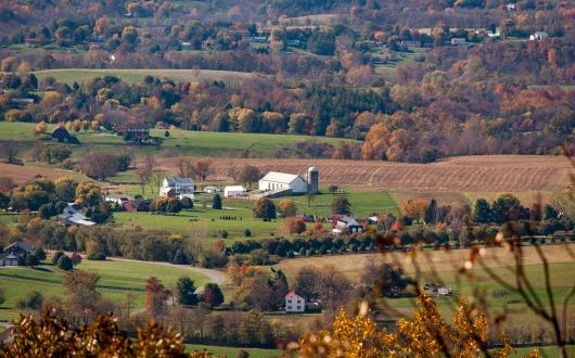 panorama dei boschi del maryland (maryland, stati uniti)