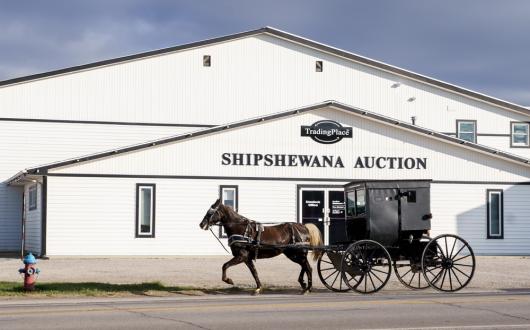 shipshewana auction mercato di antiquariato,bestiame e prodotti agricoli (indiana, stati uniti)